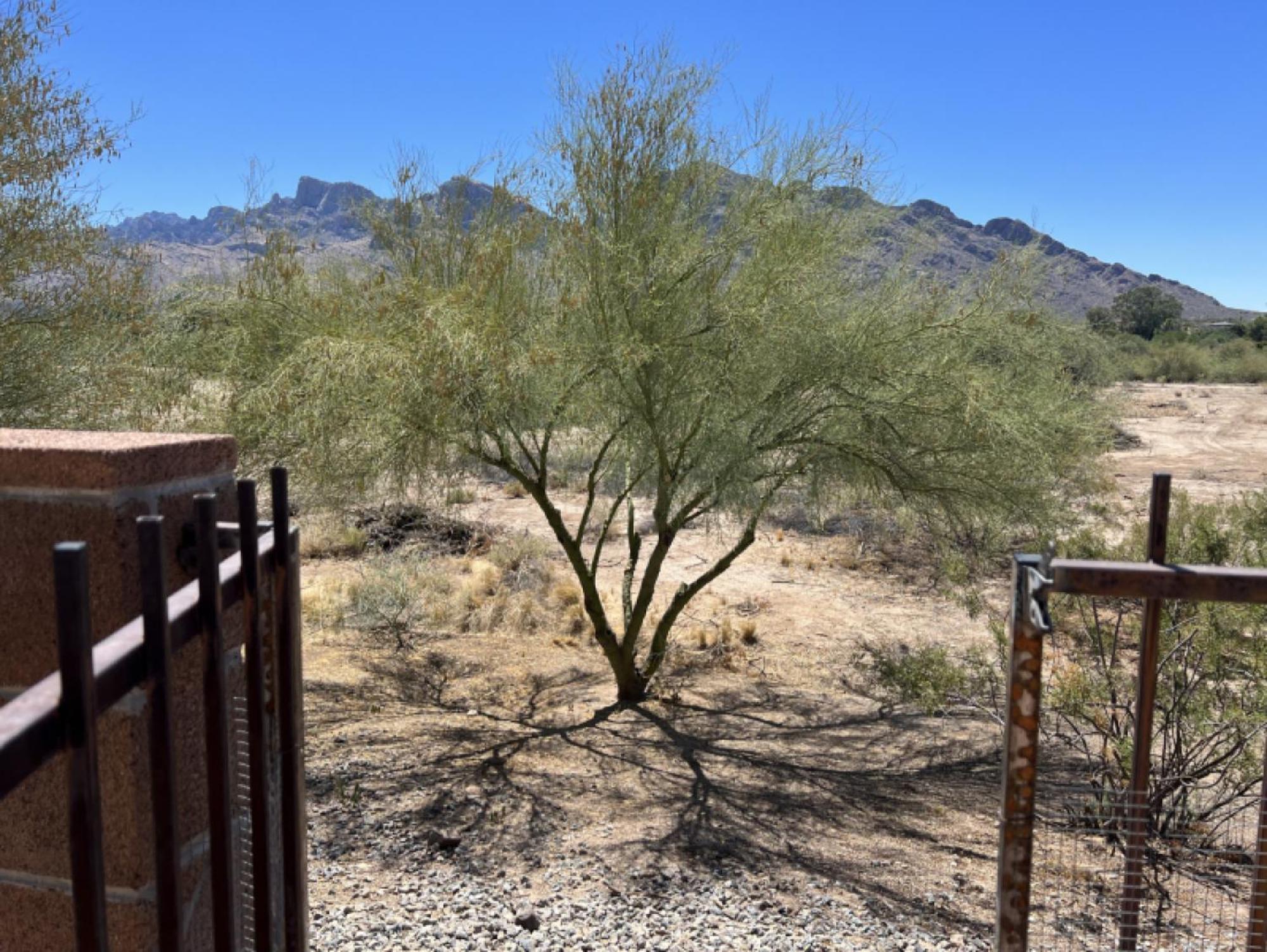 Private Home - Billiards, Mountain Views, Private Desert Access, Hoa Pool & Spa, Bbq, At Lambert Park - Bourbondale Tucson Exteriör bild